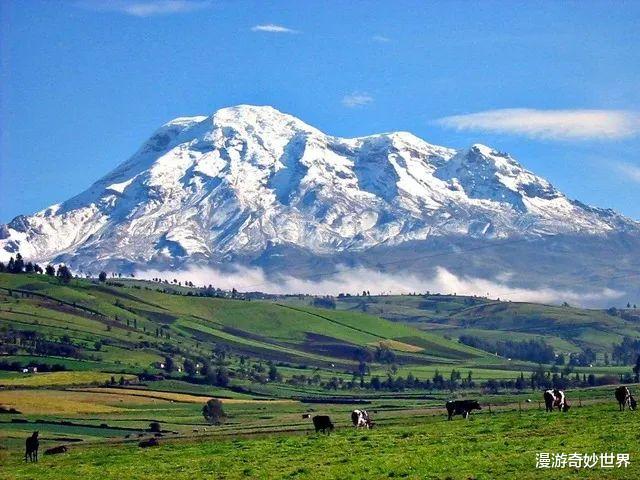 国语|令人大开眼界的25照片，相当涨姿势！