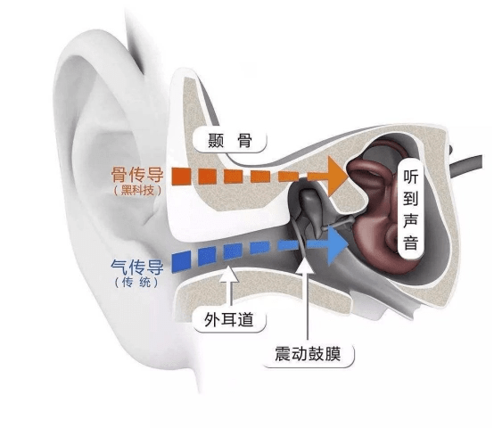 骨传导耳机|骨传导原理是什么，骨传导耳机对于我们的耳道是否有保护