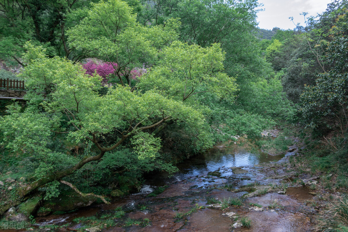 楠溪江|郭进拴|梦幻楠溪江