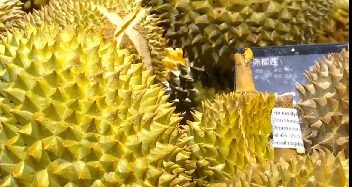 “我愿意赔付三倍的钱，换取对妻子的宽大处理！”