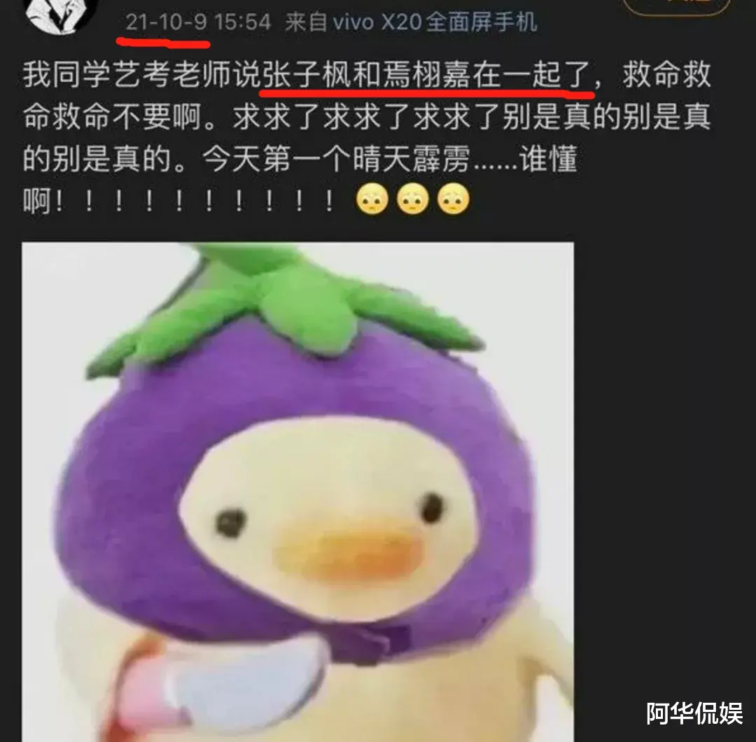 张子枫|张子枫的恋爱对象是他？妹妹快跑吧！