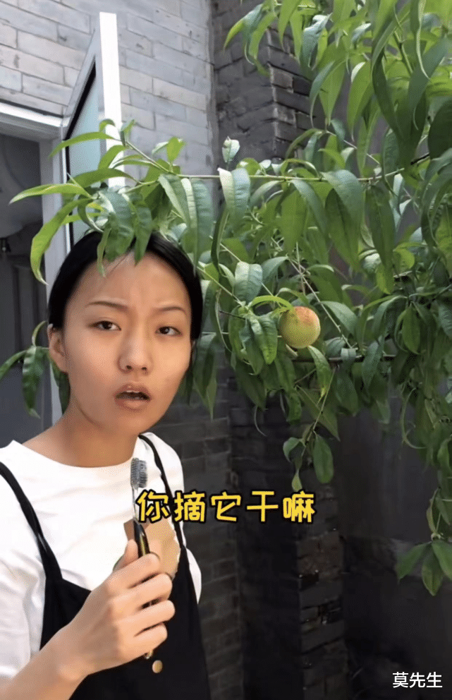 冉莹颖|2天6个瓜，剧组扰民、千万级网红组合解散、官宣3胎，个个都是大瓜