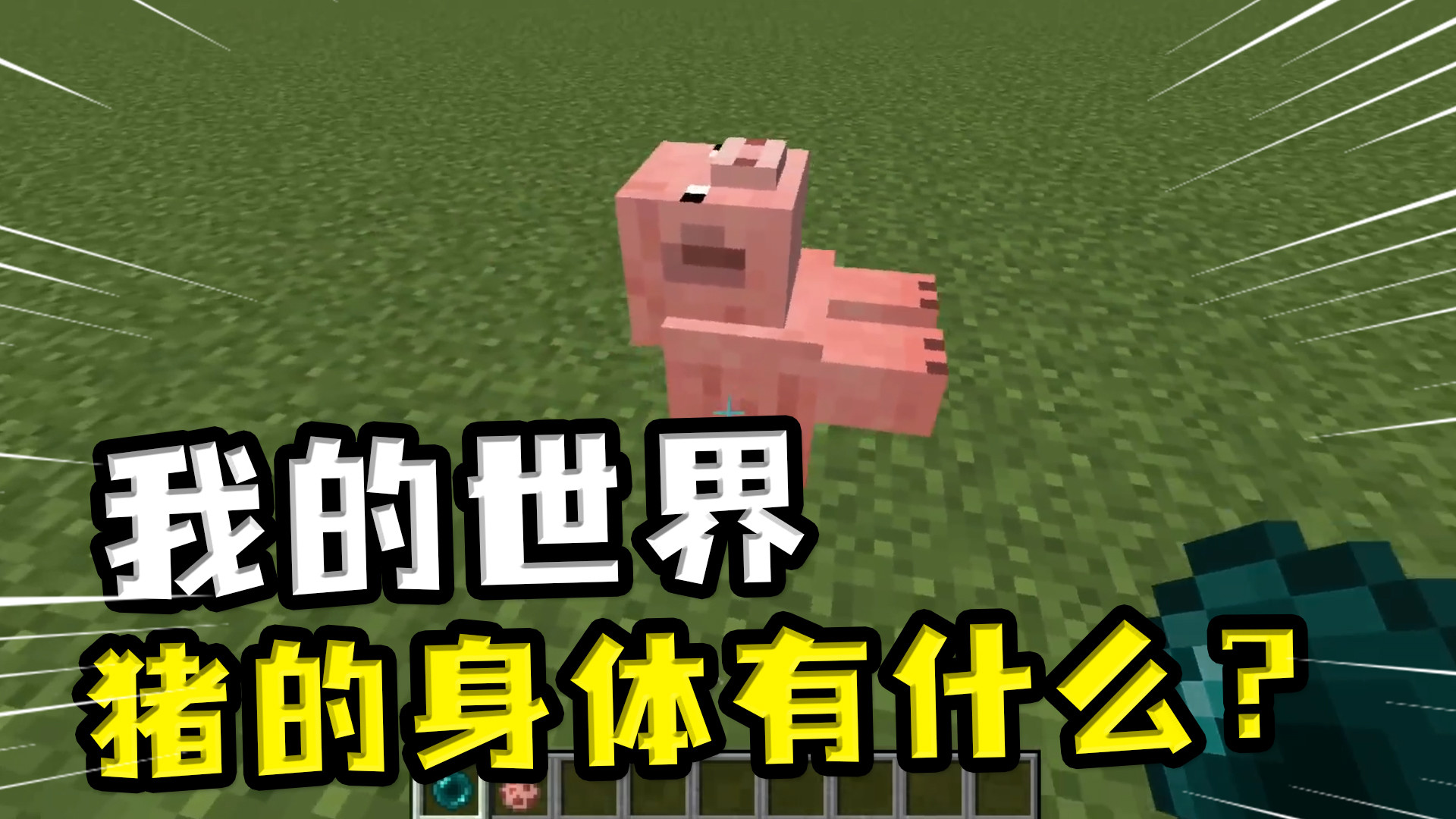 我的世界:猪身体里有什么?