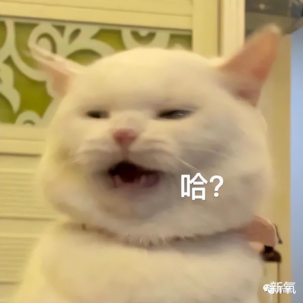 祛斑|安妮海瑟薇是怎么回春的？