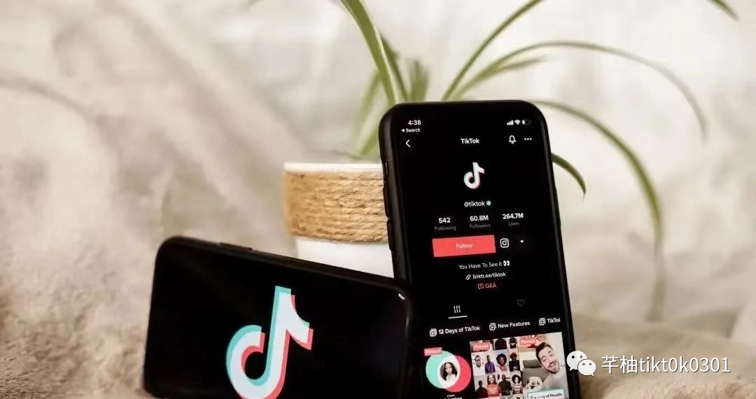 创投圈|TikTok电商发展趋势，加速扩张或成未来主旋！