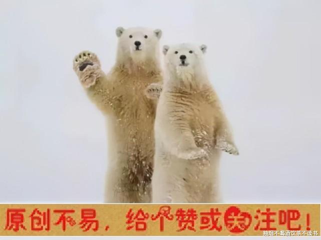 华中师范大学|华中师范大学未就业率26.22%被网友点赞，网友还是太单纯了