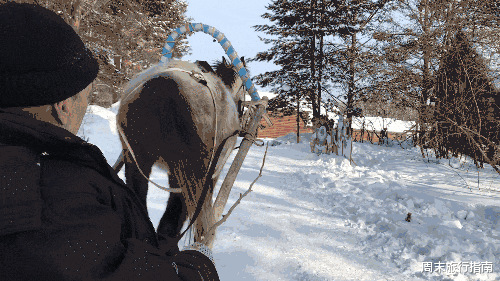 漠河|中国唯一能看到极光的村落，比北海道更浪漫