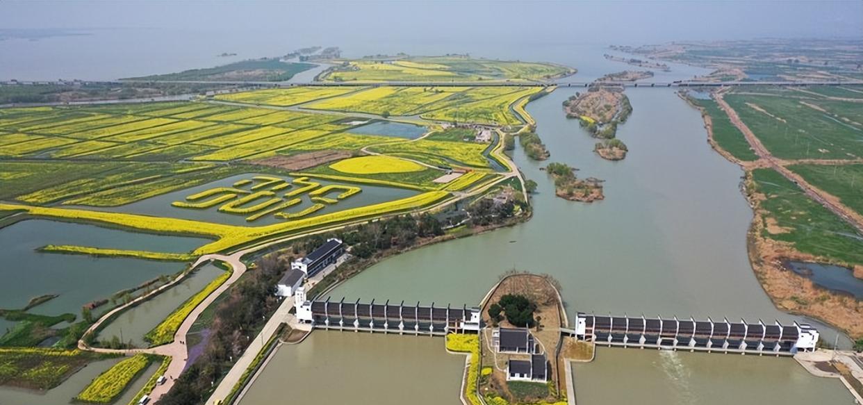 网红倪海杉称1800万包下高邮湖,引来巨大的流量不知是福还是祸