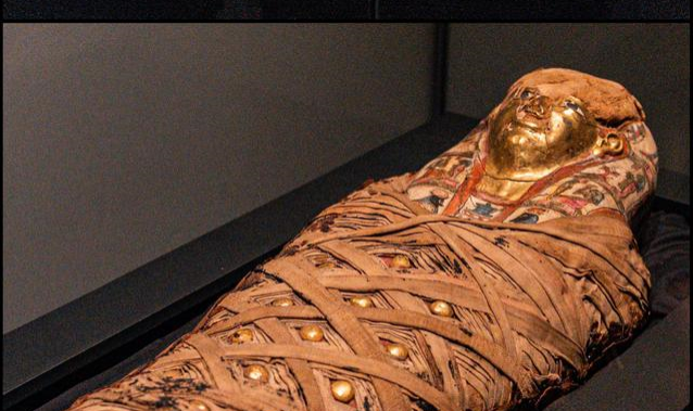 木乃伊|《木乃伊》已经火遍各大平台，这个时候到底它能不能推广到全民？