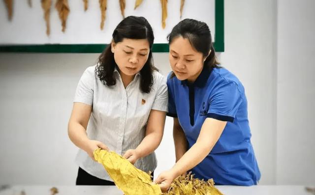 迈克尔·乔丹|烟草在职人员晒“工资单”,虽然没预期高,但还是让网友慕了