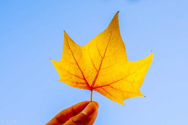 |逆向思维:你我皆在思维的牢笼,生活就是一场伟大的越狱