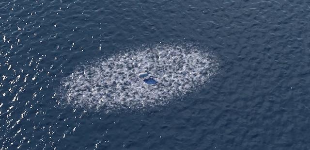 美国海军拍到奇怪UFO,目击者称它远超人类科技,究竟会是什么?