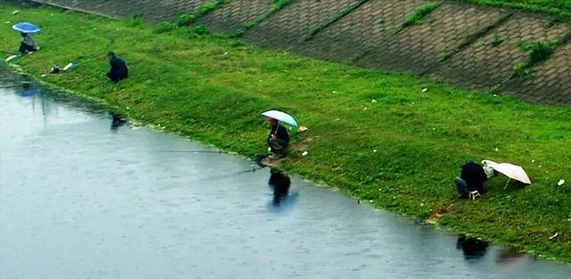 湖北|湖北一群人垂钓开挂,在水边直接就被抓走了,原来是“泥鳅党”