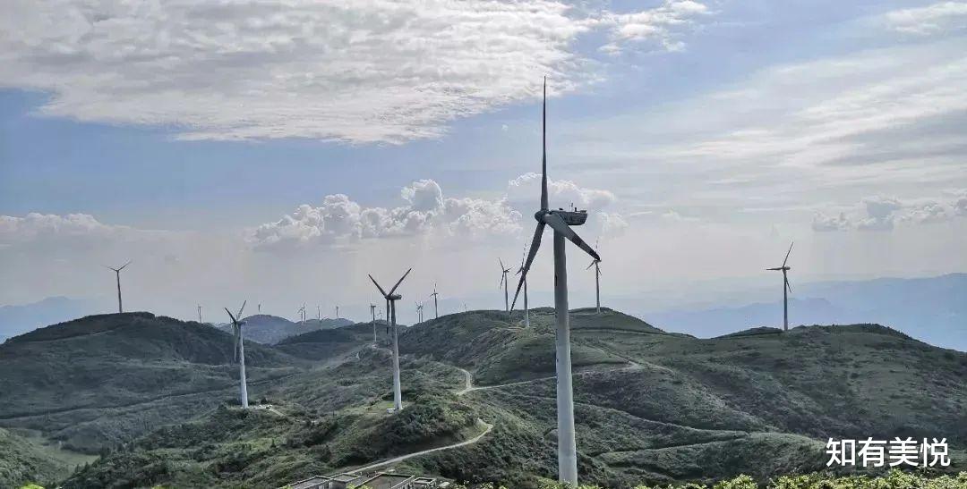 草原|国内12个最值得去的初夏绝美旅行地，快带上ta来场久违的旅行！
