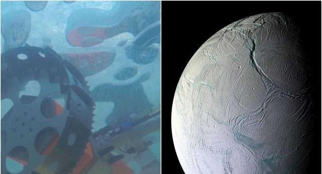 “几乎肯定”?木星卫星的海洋中,生活着章鱼般的外星生物