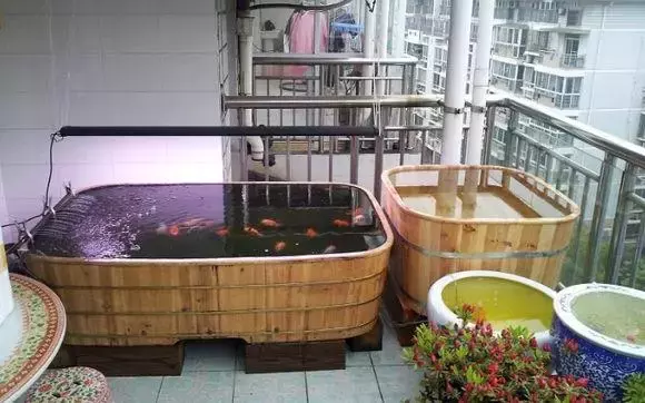 阳台建个鱼池可溜了,来个客人就往阳台看,个个都想回家装一个!