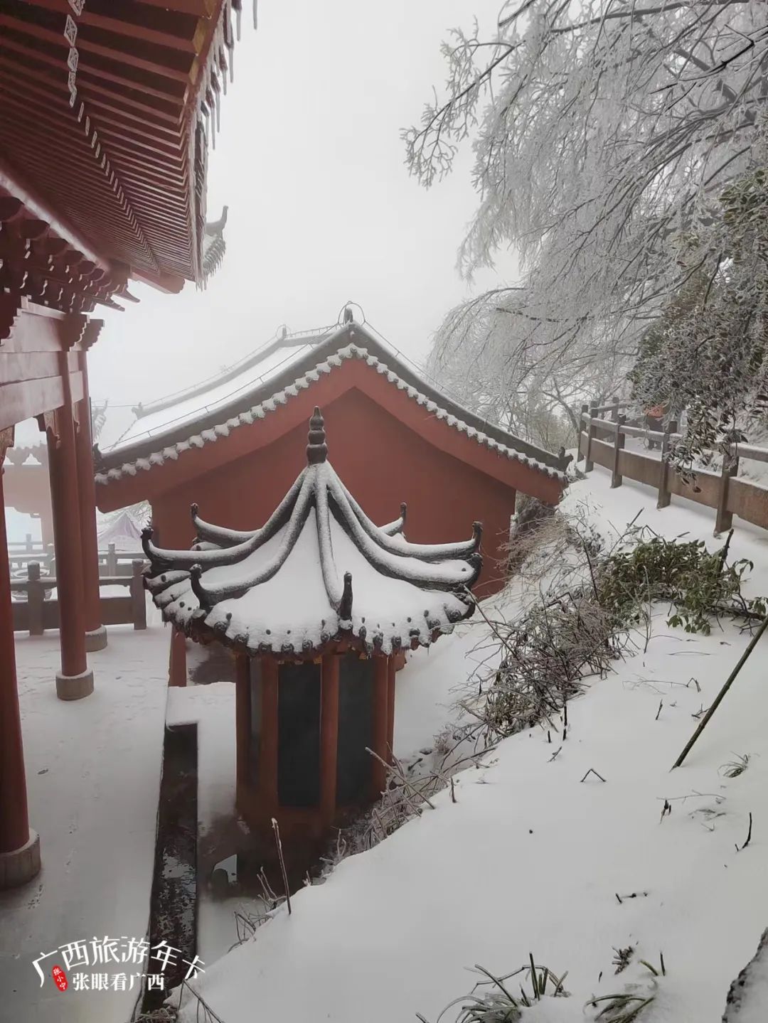 霜降|今日霜降，又见独特风景线！| 广西旅游年卡