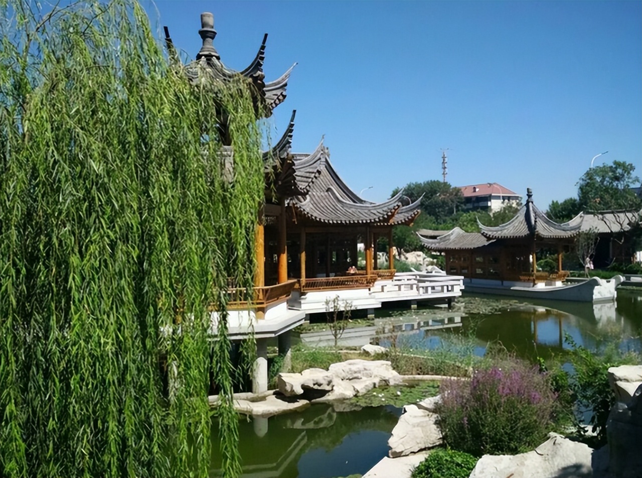 苏州|天津一“假”公园走红，被称津门“拙政园”，身在北方却堪比苏州
