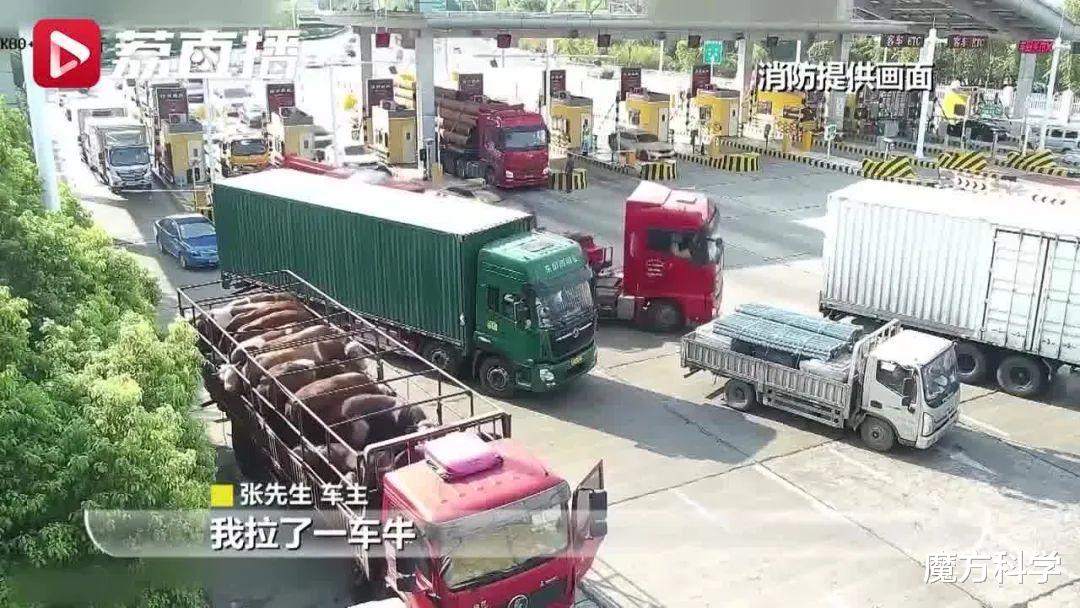 地球怎么了?重庆地表最高温81℃江苏72℃!人类最担心的或将发生