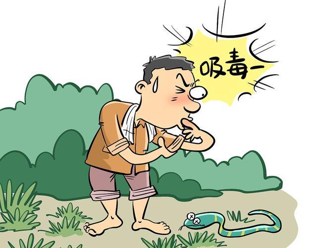 毒蛇再毒都杀不死一头猪?猪是毒蛇的天敌,科学依据是什么吗?