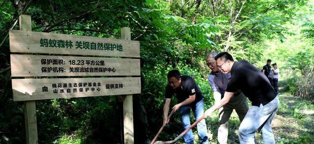 自动驾驶|马云承诺每年在沙漠里种树，如今6年过去了，沙漠变成啥样了？