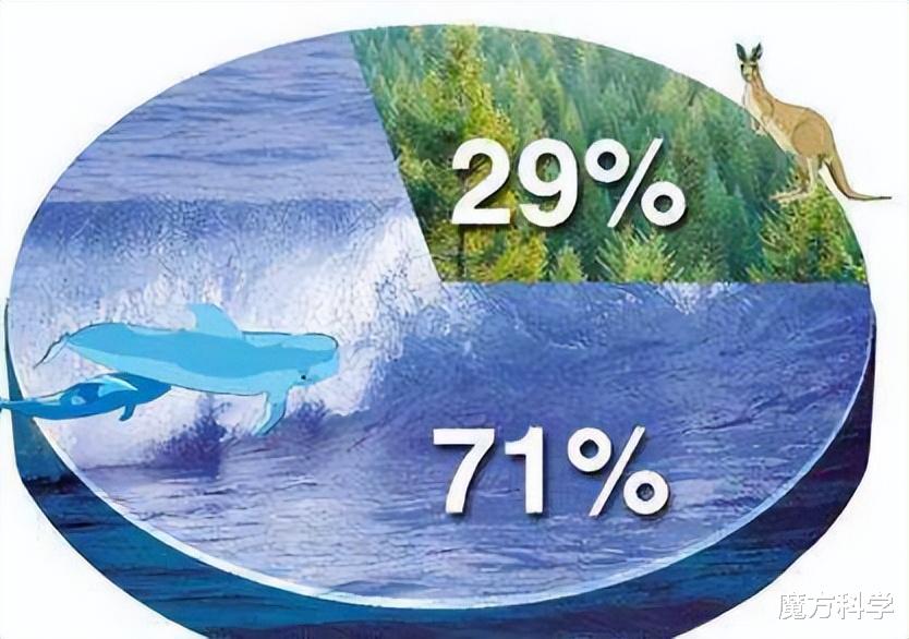 鲍鱼不能吃?IUCN更新濒危物种红色名录!为何人类是“罪魁祸首”