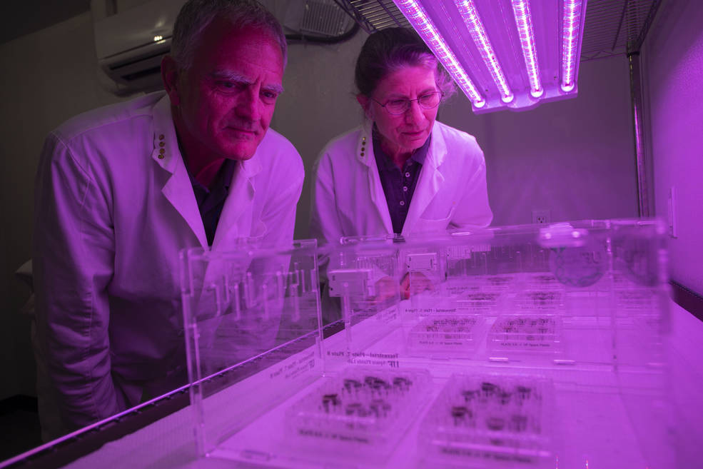 近日,科学家用月壤种出植物,解决了宇航员在月球上的吃饭问题?