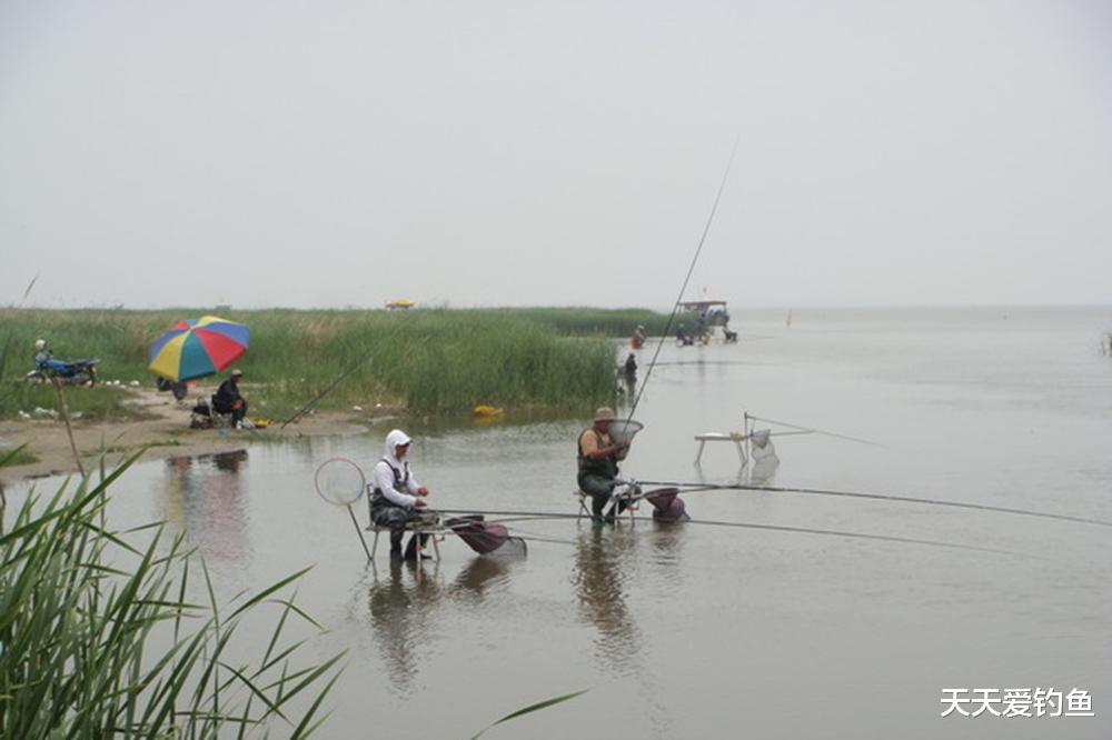 |四季野钓，有4个绝佳的爆护时机，出钓一次顶十次