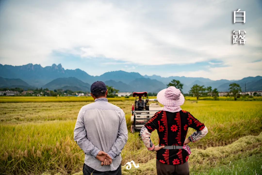 收藏!九华山版二十四节气壁纸,够浪漫~
