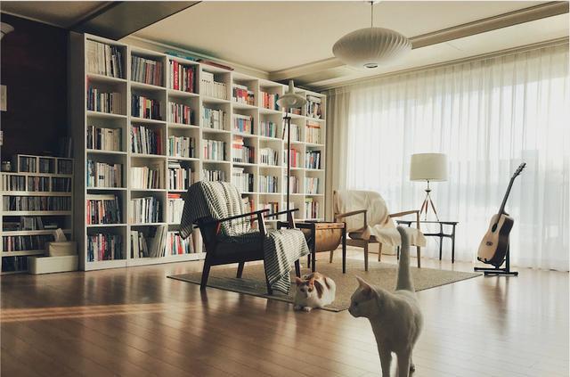 夫妻俩坚持丁克,129不多添置一件家具,沙发也不要,生活很随心