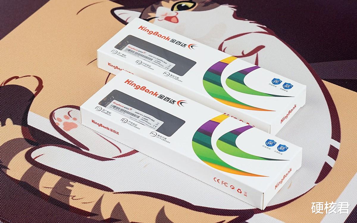 内存条|百元售价，装机首选！金百达DDR4 2666 16GB内存条评测！