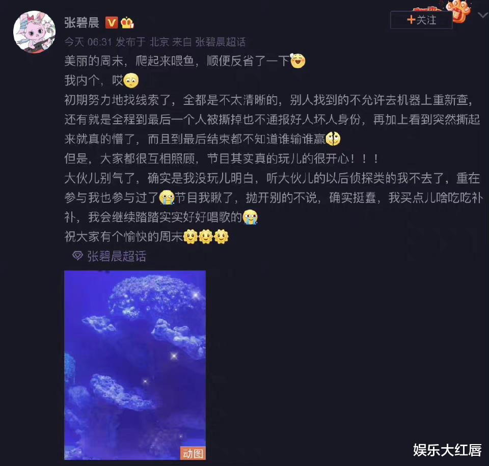 张碧晨|“奔跑吧”更新，网友评论被张碧晨气死，张碧晨卑微回应
