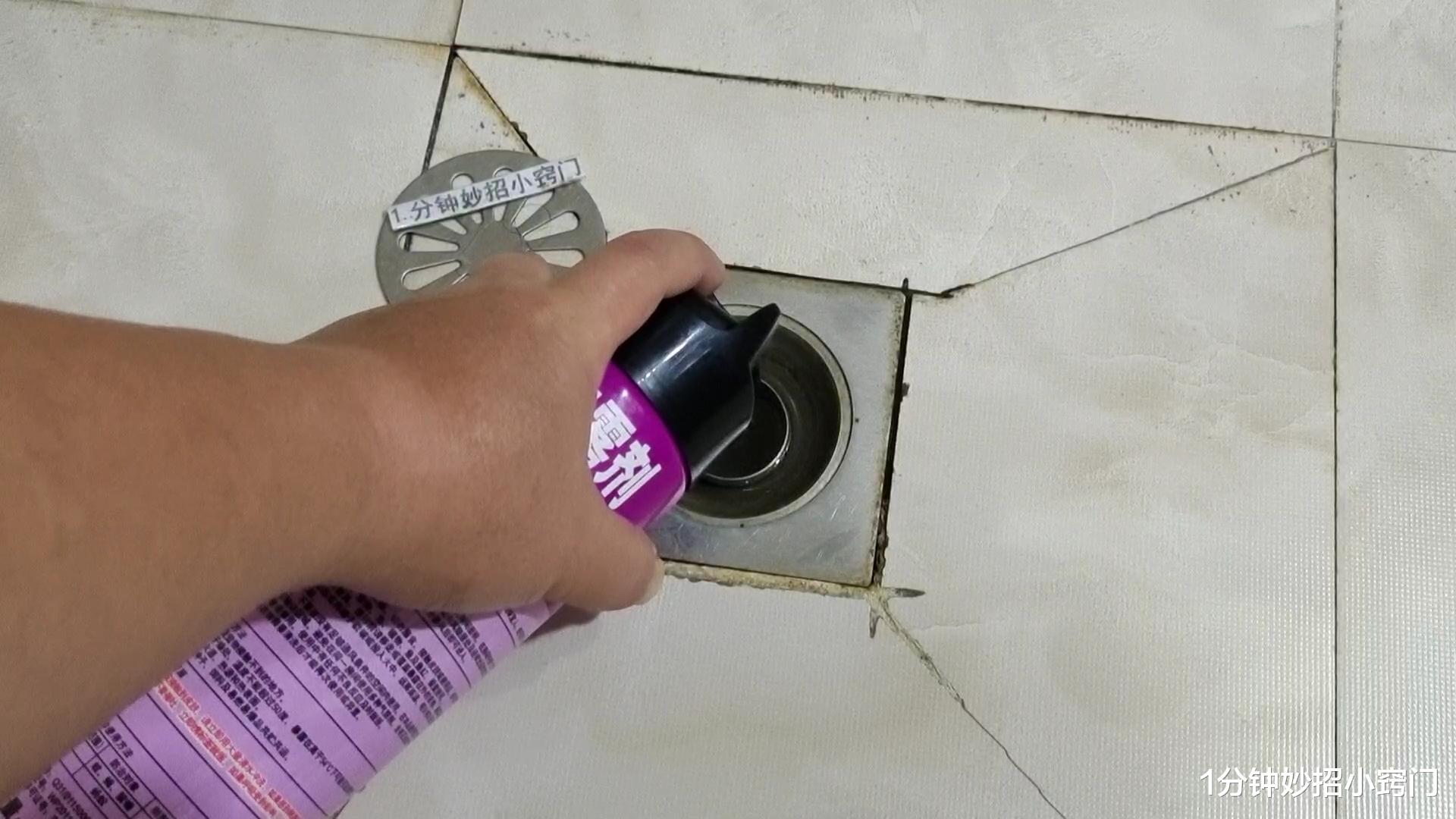 卫生间小黑虫又出来了,只需简单一招,家里再也不会有小飞虫