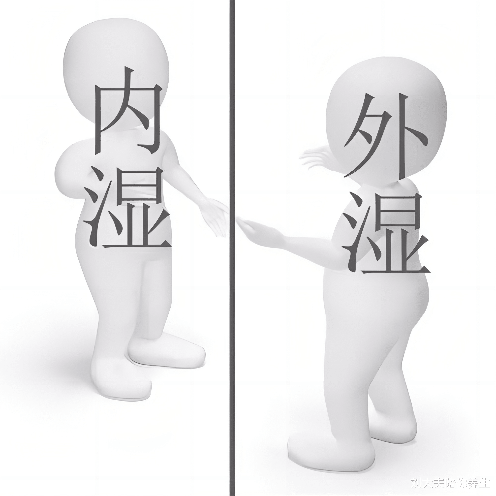 饮食 痰湿型肥胖，健脾、祛湿、调菌群、控饮食，一个都不能少！