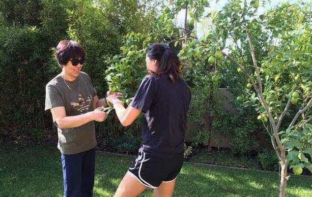 晒晒郎平教练在美国的家,餐厅摆放着红木餐桌,上面还有中式雕花