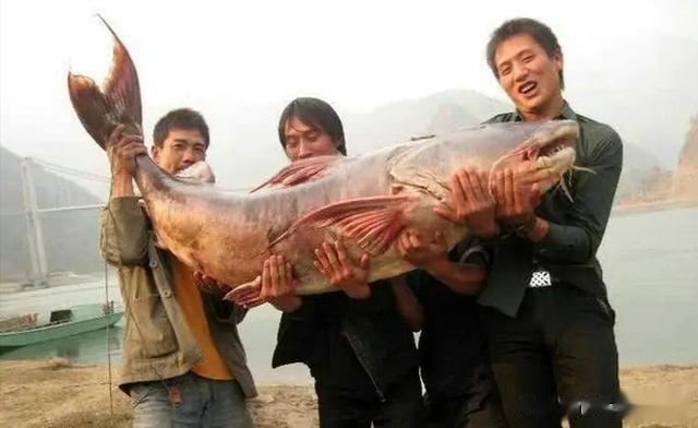 钓鱼|「内含福利」2021钓鱼人的新年将这样度过