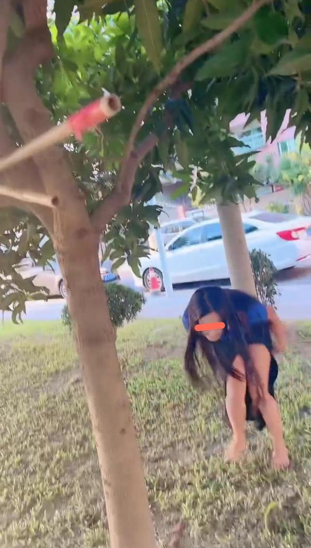 回顾女子穿裙子爬树,体验儿时乐趣,摘一颗果子递给树下的男闺蜜