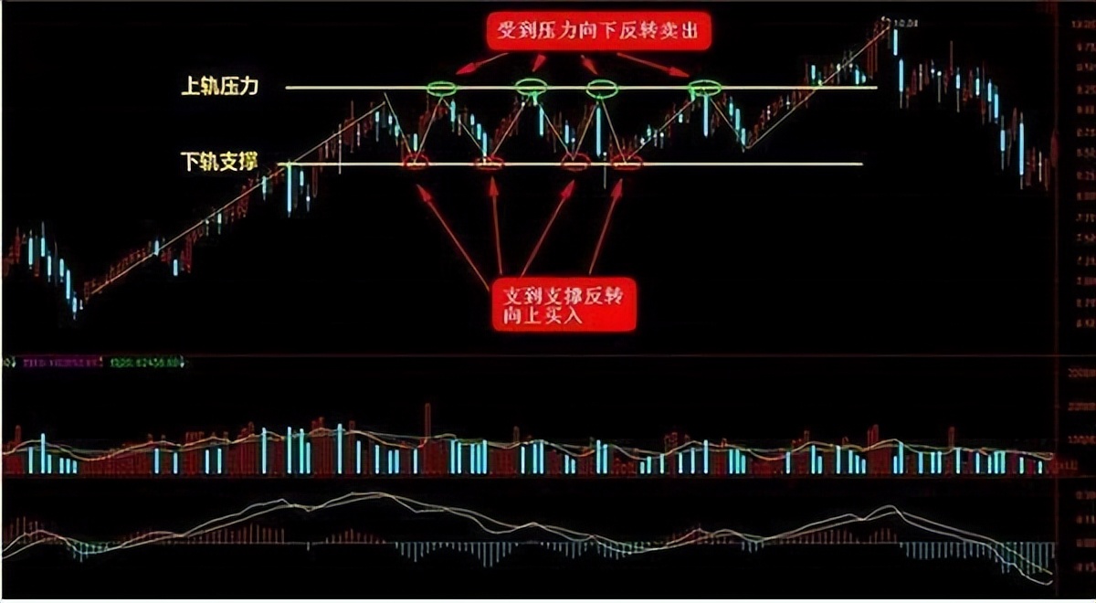 北大女博士罕见发声:不外传的“波段操作”,该如何更好使用呢?