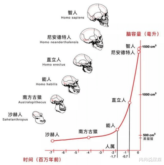 人类出现是意外,地球上的人都是女人生的,那第一个人怎么来的?