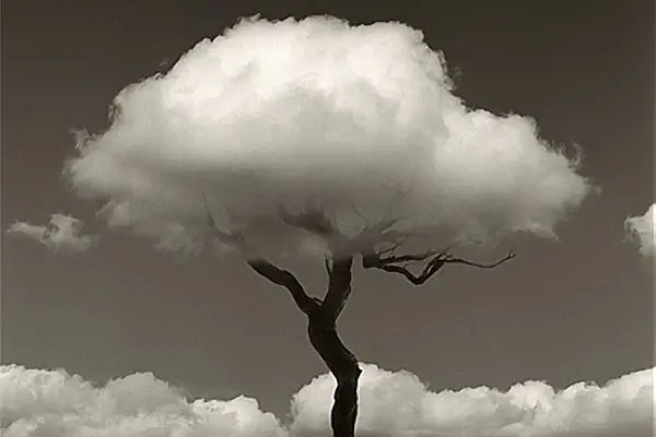 |8条让你在职场中不断攀升的铁律