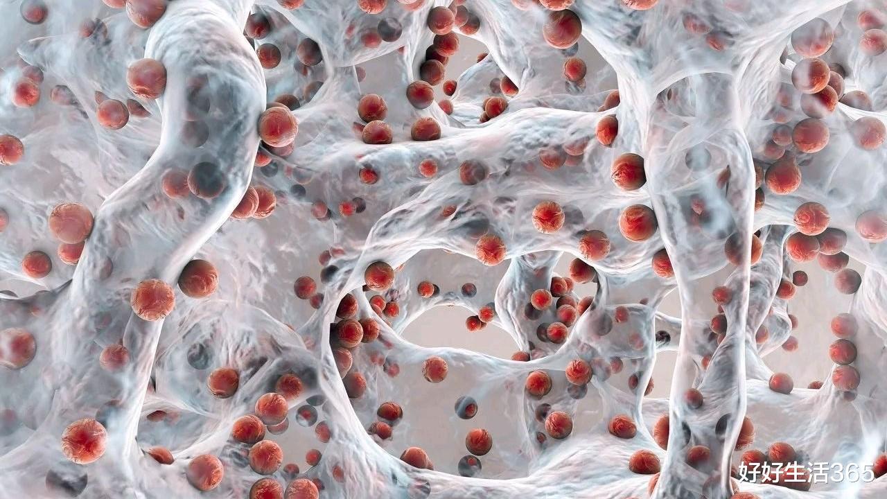 经常吃酵母蒸的馒头,对身体有害吗?为了家人的健康,不妨看看