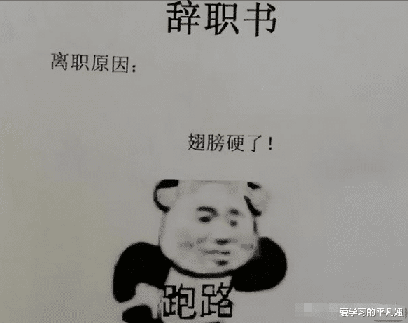 00后|00后“辞职信”火了,信中内容太过于直接,老板看后满是担忧