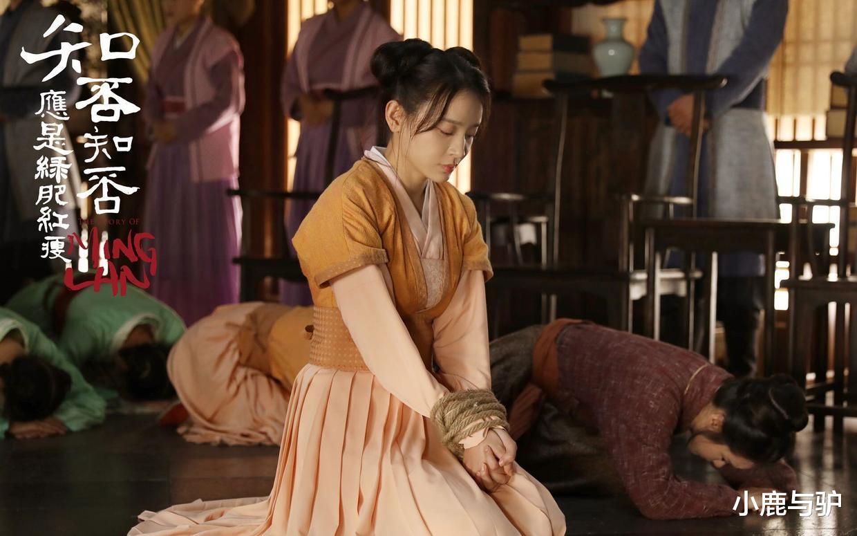 盛明兰|《知否》：为什么盛明兰不愿意让团哥娶小沈氏的女儿，原因有三点