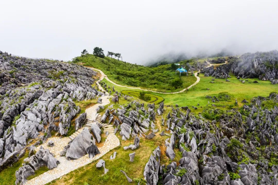 露营|有一种浪漫,是夏天一起去露营,看草原风光,看日落星河...