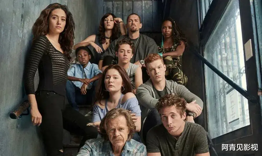 美剧|没看过这5部美剧都不好意思说自己是美剧迷