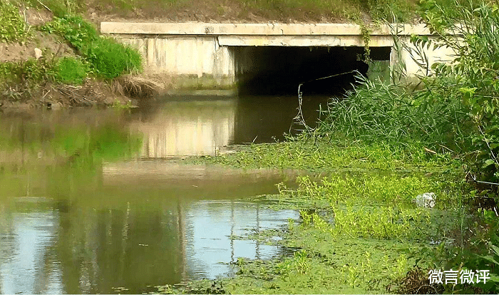 饵料|好好的钓鱼,结果却钓了一肚子的气,以后别再玩了
