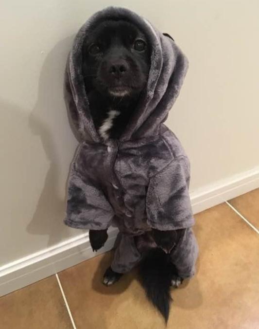 晒晒我上海50平蜗居，光装修改造就花了20万，终于不用租房了！