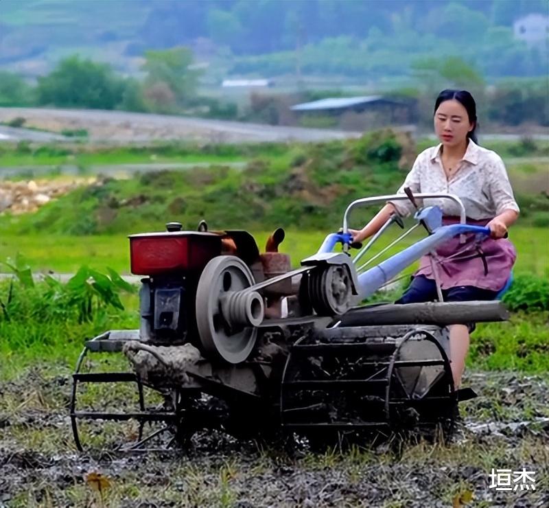 |乡愁沈丹为何那么红?从离异妇女到千万网红,如今身价超1000万