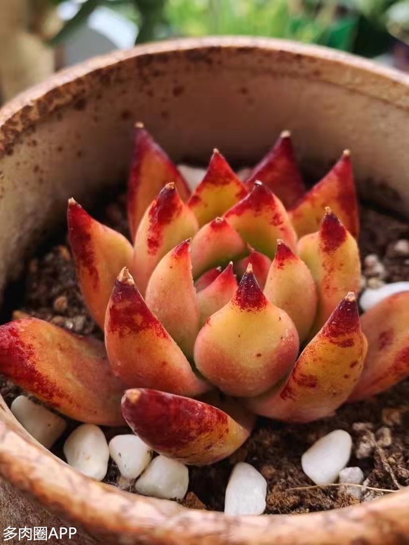 如何让你肉肉拍出美感,跟着我这样做~有着大片即视感~