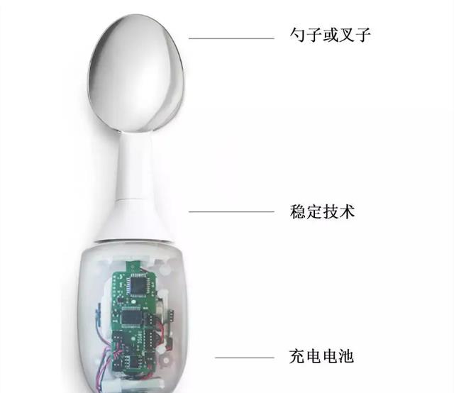 仿生学奥秘,鸡头为啥能防抖?解密后人类发明了相机云台!